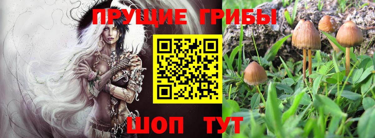 Псилоцибиновые грибы мицелий  Вход с VPN  Псилоцибиновые грибы мицелий  Усть-Кут 