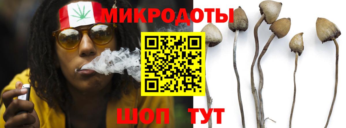 Галлюциногенные грибы Psilocybine cubensis Усть-Кут
